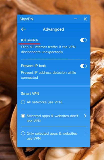 skyvpn kill switch